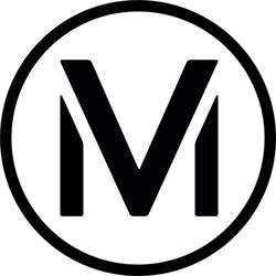 Visionary Minds B.V., Haarlem openingstijden