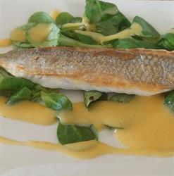 Ab's Cookery - Luxe catering Noord Holland, Avenhorn openingstijden