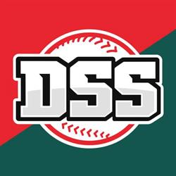 DSS Honk- en Softbal, Haarlem openingstijden