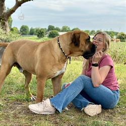 Dol op je hond, Horssen openingstijden