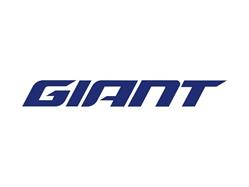 Giant Store Houten, openingstijden