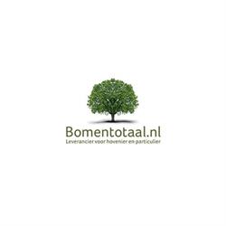 Bomentotaal, Opheusden openingstijden