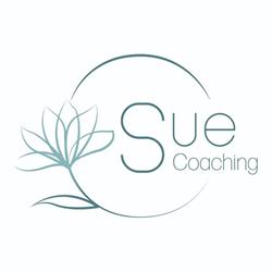 SUE Coaching, Maassluis openingstijden