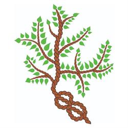 Treetied, Apeldoorn openingstijden