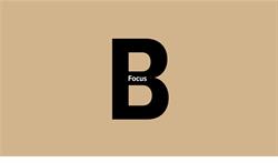 B-Focus B.V., Dinteloord openingstijden