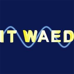 It Waed, Sexbierum, openingstijden