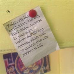 De Handige Meeuwen - verbouwend in Lombok, Oog in Al en Nieuw Engeland, Utrecht openingstijden