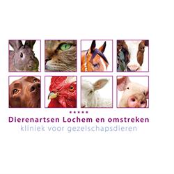 Dierenkliniek Lochem - Gorssel, openingstijden