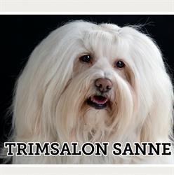 Trimsalon Sanne, Ingelum openingstijden