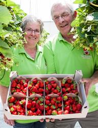 Van Enckevort Aardbeien, Kronenberg openingstijden