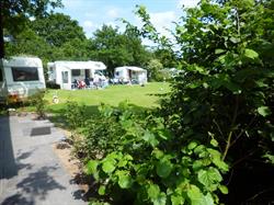 Camping Boszicht, Wilbertoord openingstijden
