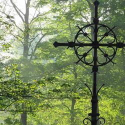 Transitium Zeeveld, Castricum openingstijden