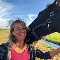 Jaeike met paarden Leiderschapstrainer & Teamcoach, Midsland openingstijden