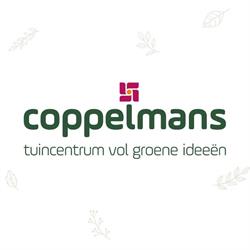 Tuincentrum Coppelmans Helmond, openingstijden