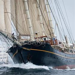 Gulden Leeuw, Kampen openingstijden