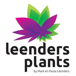 Leenders Plants, Helden openingstijden
