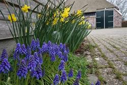 Accommodatie Claercamp, Rinsumageast openingstijden