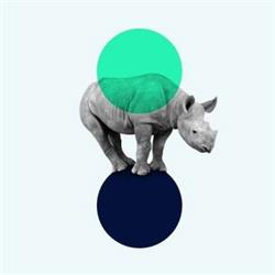 Creative design agency ttwwoo, Amsterdam openingstijden