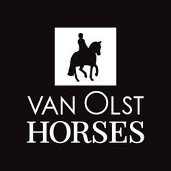 Van Olst Horses, Den Hout openingstijden