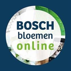 Bosch bloemen online, Hasselt openingstijden
