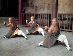 Shaolin Kungfu School 'Apeldoorn', openingstijden