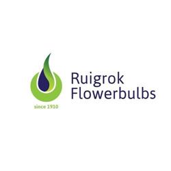 Ruigrok Flowerbulbs, De Zilk openingstijden
