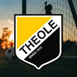 T.S.V. Theole ?, Tiel openingstijden