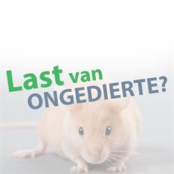Lastvanongedierte.com, 's-Gravenhage openingstijden