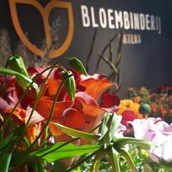 Bloembinderij Hatert, Nijmegen openingstijden