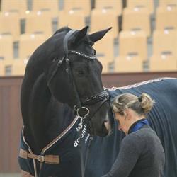 Dressuurtraining Ineke Jansen, Horse and Rider in balance, Heelweg openingstijden