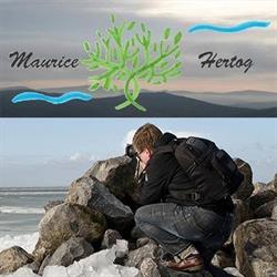 Maurice Hertog Fotografie, Gulpen openingstijden