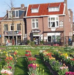 Arthur lunchroom, Noordwijkerhout openingstijden