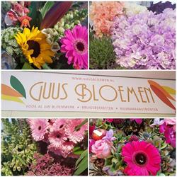 Guus Bloemen Koningshoek, Maassluis openingstijden
