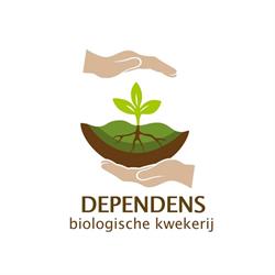 Biologische kwekerij Dependens, Bennekom openingstijden