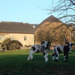 Vakantiewoningen De Schapenweide, Wijlre openingstijden