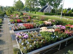 Tuincentrum Radelaar, Rolde openingstijden