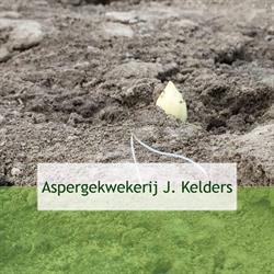 Aspergekwekerij John Kelders, Veldhoven openingstijden