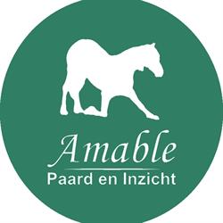 Amable, Paard en Inzicht, Eindhoven openingstijden