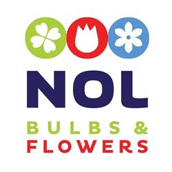 Nol Bulbs & Flowers, Oterleek openingstijden