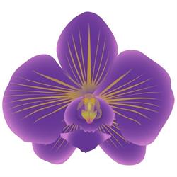 Thai Thala Authentieke Thaise Massage Breda en Prinsenbeek, openingstijden