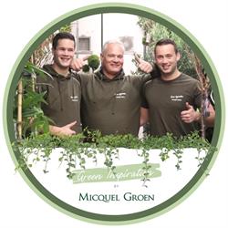 Micquel Groen, Green Inspiration, Hazerswoude-Dorp openingstijden