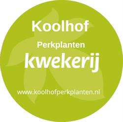 Koolhof Perkplanten Kwekerij, Luttenberg openingstijden