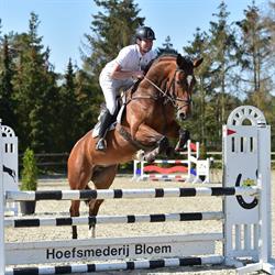 Bloem Sporthorses, Pesse openingstijden
