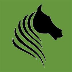 Manege Wetland, Gouderak openingstijden