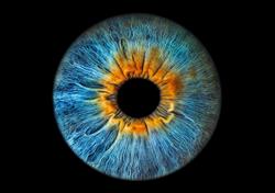 Eyemazy Amsterdam - Iris Photography, openingstijden