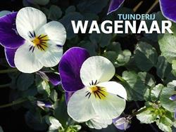 Tuinderij Wagenaar, Veere openingstijden