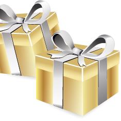 Ter Brugge Kerstpakketten, Borne openingstijden