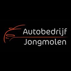 Autobedrijf Jongmolen, Oosterhout openingstijden