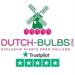 DUTCH-BULBS.COM - Flower Bulbs from Holland, Voorhout openingstijden