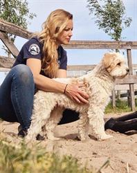 Dierfysiotherapie Liemeer, Ter Aar openingstijden